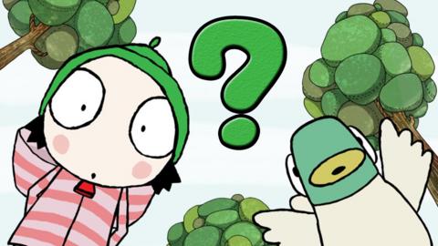 Sarah and Duck Quiz