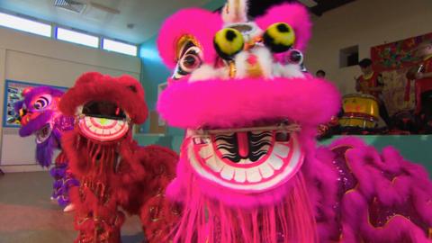 Chinese Lion dancer