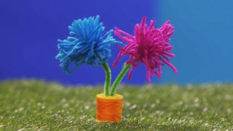 Cotton reel flowers