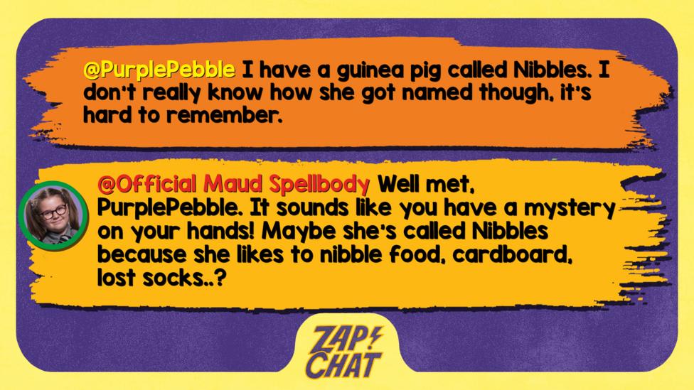 Zapchat replies: From PurplePebble: I have a guinea pig called Nibbles. I don't really know how she got named though, it's hard to remember. From Maud: Well met, PurplePebble. It sounds like you have a mystery on your hands! Maybe she\u2019s called Nibbles because she likes to nibble food, cardboard, lost socks..?