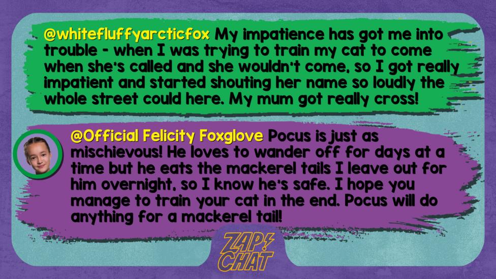 Zapchat replies: whitefluffyarcticfox: My impatience has got me into trouble - when I was trying to train my cat to come when she\u2019s called and she wouldn\u2019t come, so I got really impatient and started shouting her name so loudly the whole street could here. My mum got really cross! Official Felicity Foxglove: Pocus is just as mischievous! He loves to wander off for days at a time but he eats the mackerel tails I leave out for him overnight, so I know he\u2019s safe. I hope you manage to train your cat in the end. Pocus will do anything for a mackerel tail!