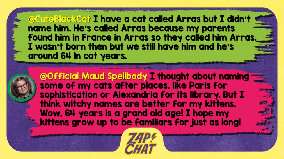 Zapchat replies: From CuteBlackCat: I have a cat called Arras but I didn't name him. He's called Arras because my parents found him in France in Arras so they called him Arras. I wasn't born then but we still have him and he's around 64 in cat years. From Maud: I was considering naming some of my cats after places instead, like Paris for sophistication, Alexandria for its library, or Florence for its beauty. But I think witchy names are better for my kittens. Wow, 64 years is a grand old age! I hope my kittens grow up to be familiars for just as long!