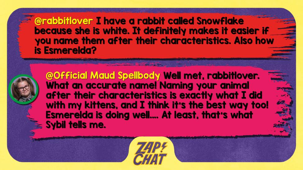 Zapchat replies: From Rabbitlover: I have a rabbit called Snowflake because she is white. It definitely makes it easier if you name them after their characteristics. Also how is Esmerelda? From Maud: Well met, rabbitlover. What an accurate name! Naming your animal after their characteristics is exactly what I did with my kittens and I think it\u2019s the best way too! Esmerelda is doing well... At least, that\u2019s what Sybil tells me.