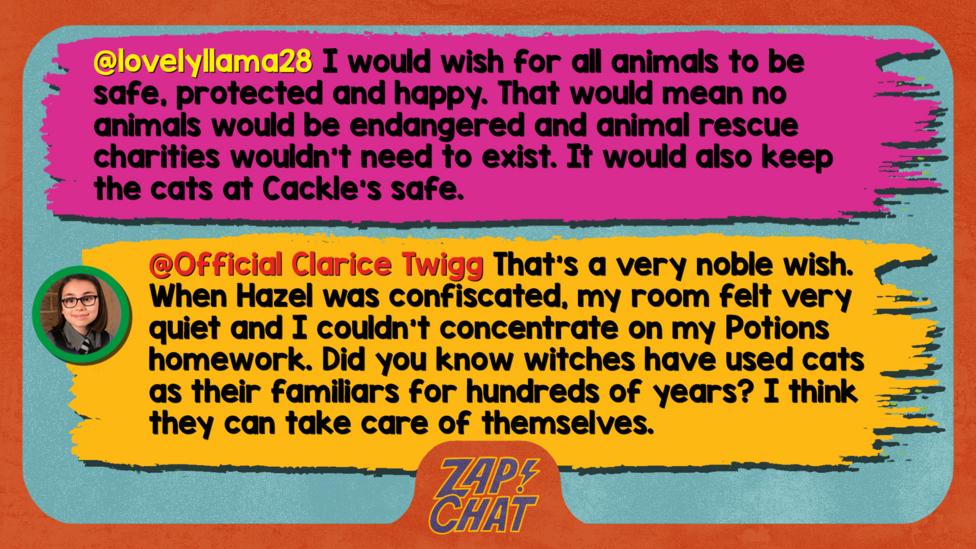 Zapchat replies: From lovelyllama28: I would wish for all animals to be safe, protected and happy. That would mean we would no animals would be endangered and animal rescue charities wouldn't need to exist. It would also keep the cats at Cackles safe From Clarice: That\u2019s a very noble wish. When Hazel was confiscated for a week last year, my room felt very quiet and I couldn\u2019t concentrate on my Potions homework. Did you know witches have used cats as their familiars for hundreds of years. I think they can take care of themselves.