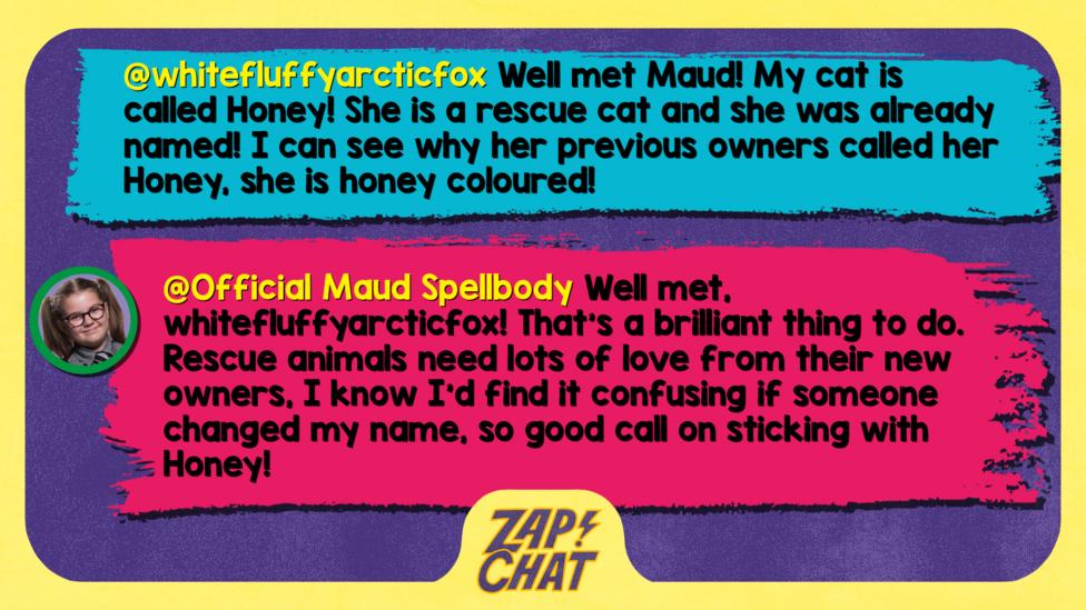 Zapchat replies: From Whitefluffyarcticfox: Well met Maud! My cat is called Honey! She is a rescue cat and she was already named! I can see why her previous owners called her Honey, she is Honey coloured! From Maud: Well met, whitefluffyarcticfox! That\u2019s a brilliant thing to do. Rescue animals need lots of love from their new owners, I know I\u2019d find it confusing if someone changed my name, so good call on sticking with Honey!