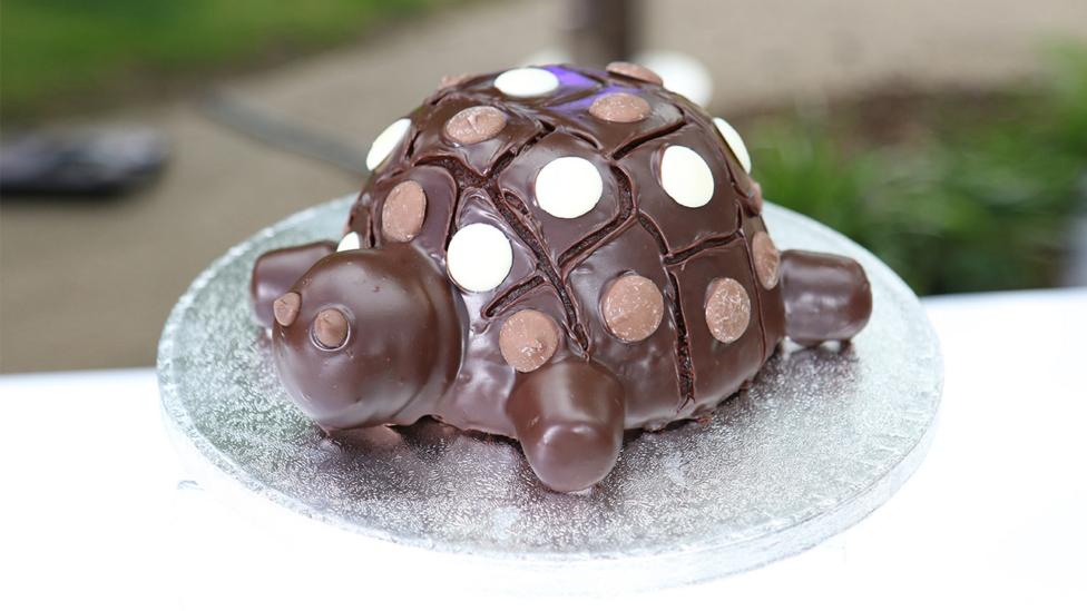 A chocolate cake in the shape of Shelley the Blue Peter tortoise.