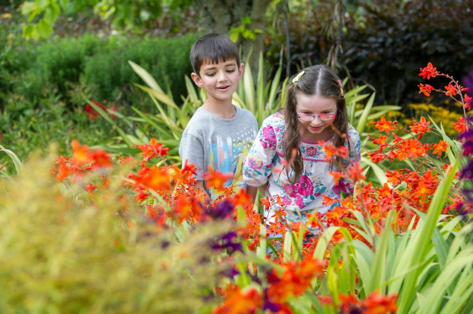 RHS Garden Rosemoor - CBBC