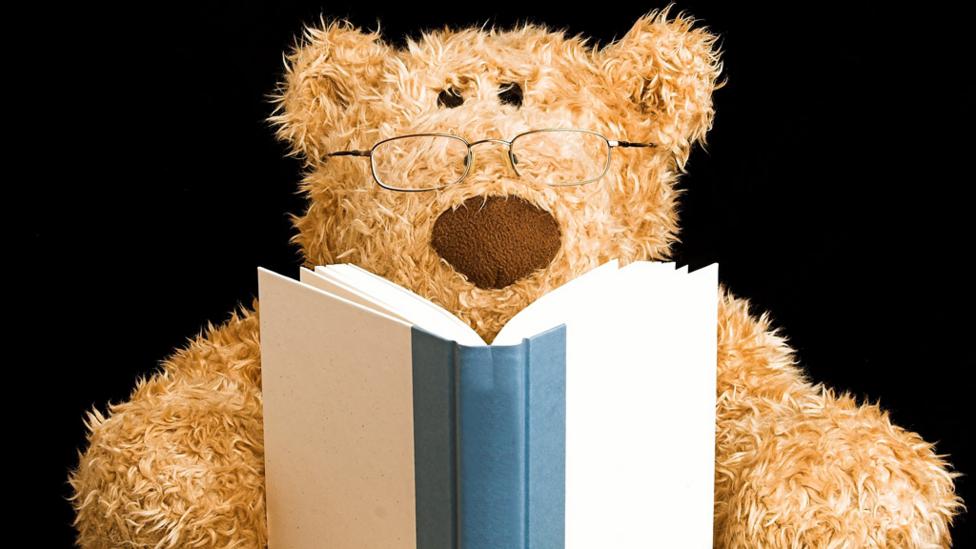 teddy bear reading a book