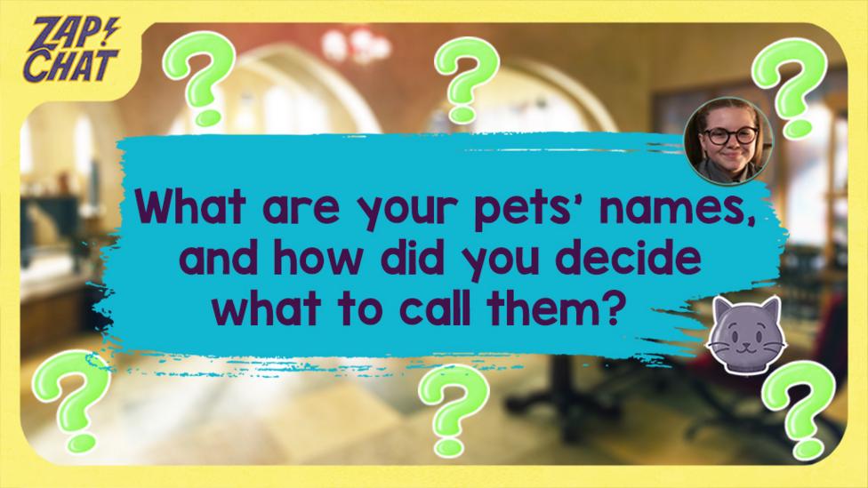 Text on a colourful background. Text reads 'What are your pets' names, and how did you decide what to call them?'