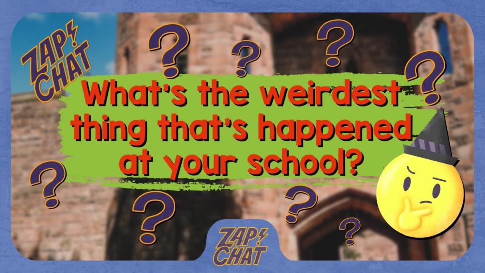 Text reads "What\u2019s the weirdest thing that\u2019s happened at your school?"