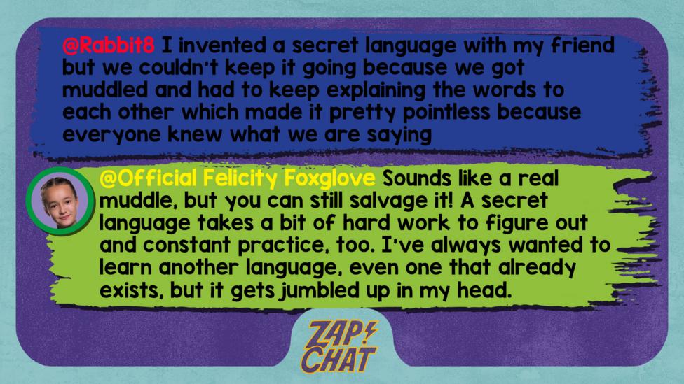 Zapchat replies: Rabbit8: I invented a secret language with my friend but we couldn't keep it going because we got muddled and had to keep explaining the words to each other which made it pretty pointless because everyone knew what we are saying  Official Felicity Foxglove: Hi Rabbit8, Sounds like a real muddle, but you can still salvage it! A secret language takes a bit of hard work to figure out and constant practice, too. I\u2019ve always wanted to learn another language, even one that already exists, but it gets jumbled up in my head.