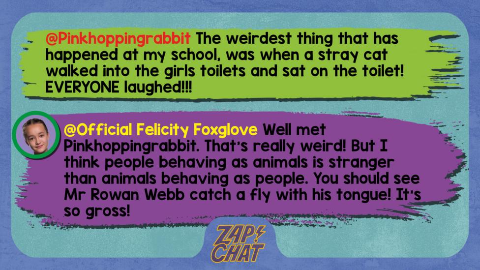 Zapchat replies: Pinkhoppingrabbit: The weirdest thing that has happened at my school, was when a stray cat walked into the girls toilets and sat on the toilet! EVERYONE laughed!!! Official Felicity Foxglove: Well met Pinkhoppingrabbit, That\u2019s really weird! But I think people behaving as animals is stranger than animals behaving as people. You should see Mr Rowan Webb catch a fly with his tongue! It\u2019s so gross!