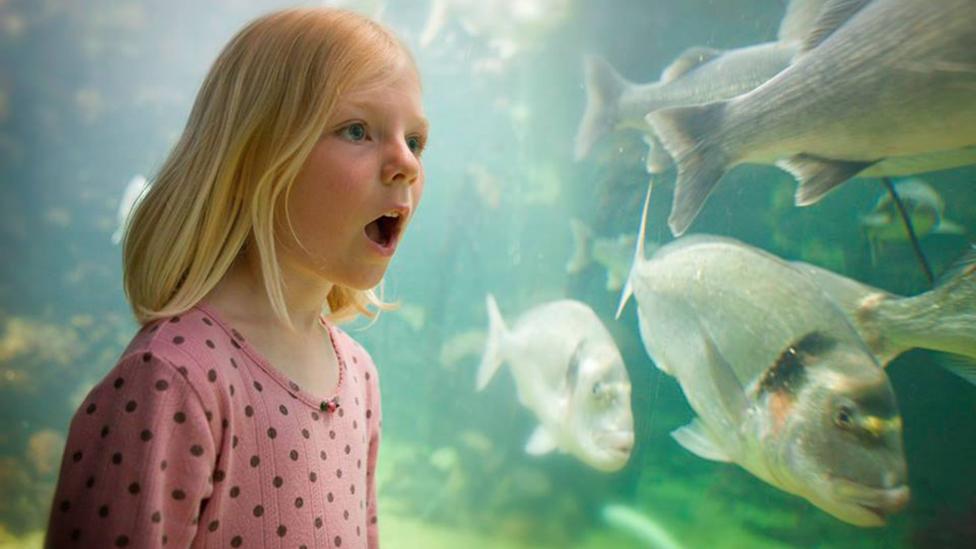 Visitor at Anglesey Sea Zoo