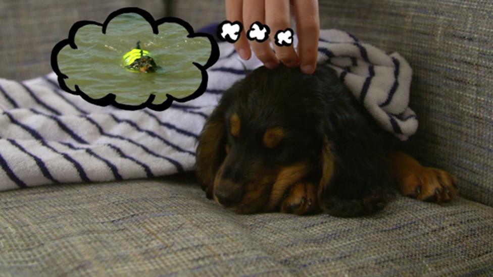Tilly's Blog