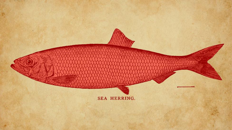 A red herring.