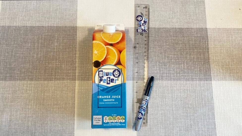 step by step guides for making bird feeders out of an orange and an empty drinks carton