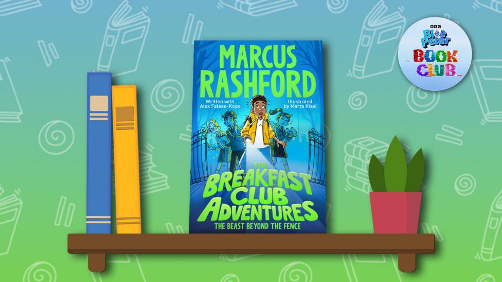 The book 'The Breakfast Club Adventures: The Beast Beyond the Fence' by Alex Falase-Koya and Marcus Rashford sits on a illustrated shelf.