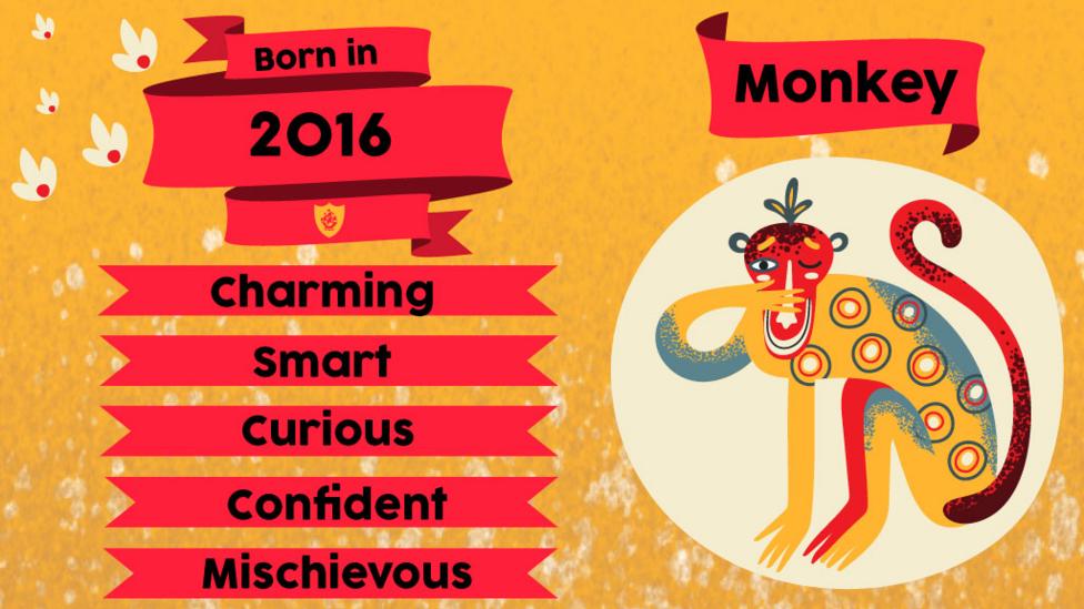 A monkey and flags with text "Born in 2016. Charming, Smart, Curious, Confident, Mischievous"