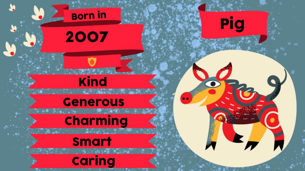 A pig and flags with text "Born in 2007. Kind, Generous, Charming, Smart, Caring"
