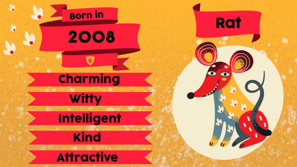 A rat and flags with text "Born in 2008. Charming, Witty, Intelligent, Kind, Attractive"