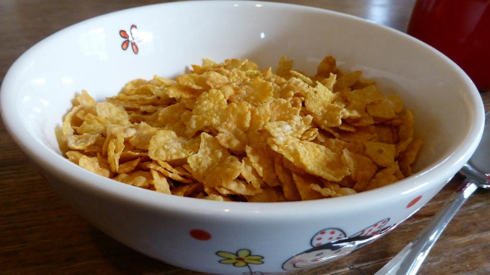 A bowl of cornflakes.