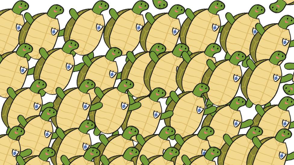 Radzis Riddles and Puzzles Week 13