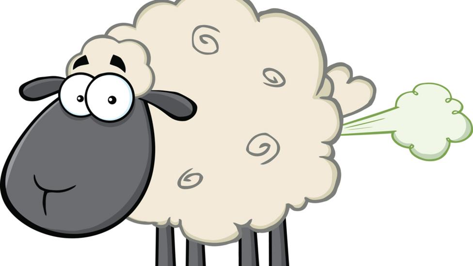 vector graphic sheep farting