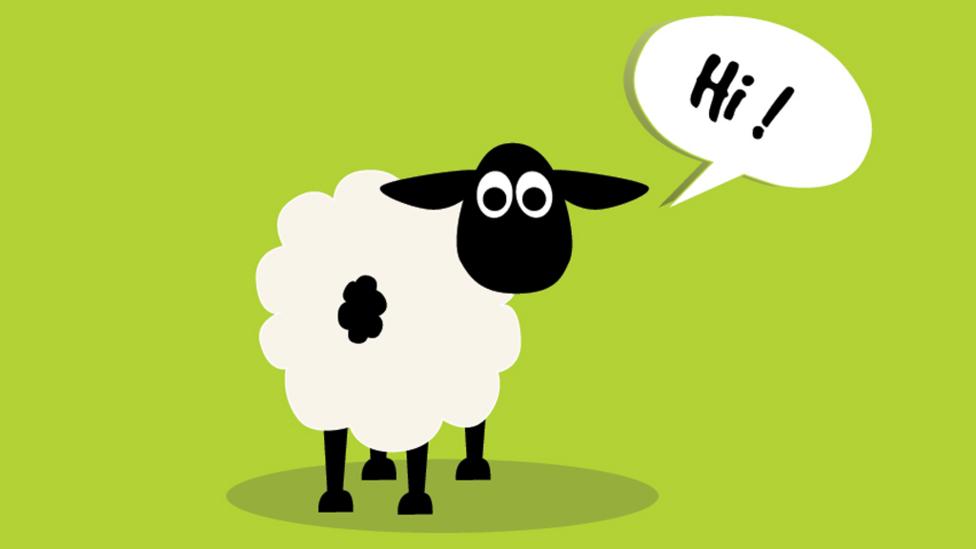 vector sheep saying hi