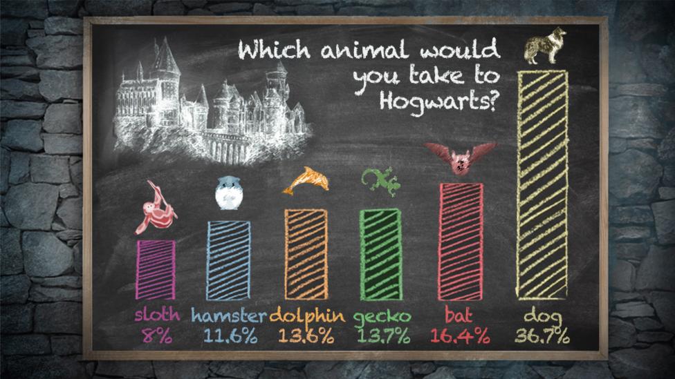 A chalkboard graph representing various animals.