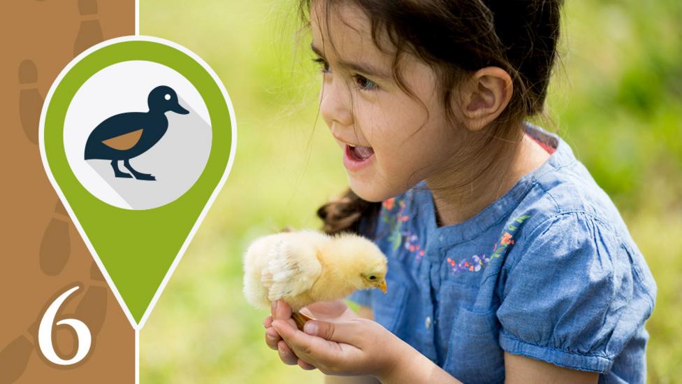 A little girl holding a chick and smiling