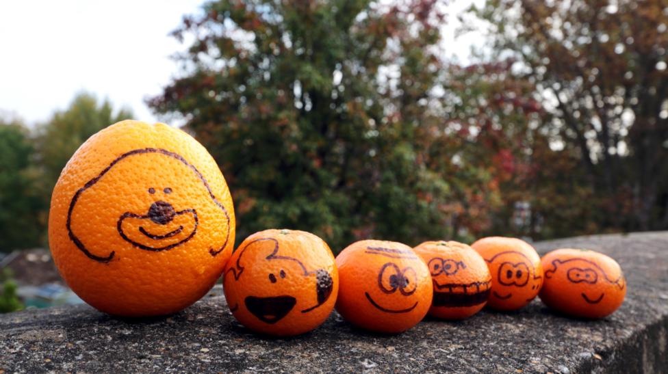 A row of six oranges are sat in a line atop a wall. On each of the oranges is a drawing of a Hey Duggee character.