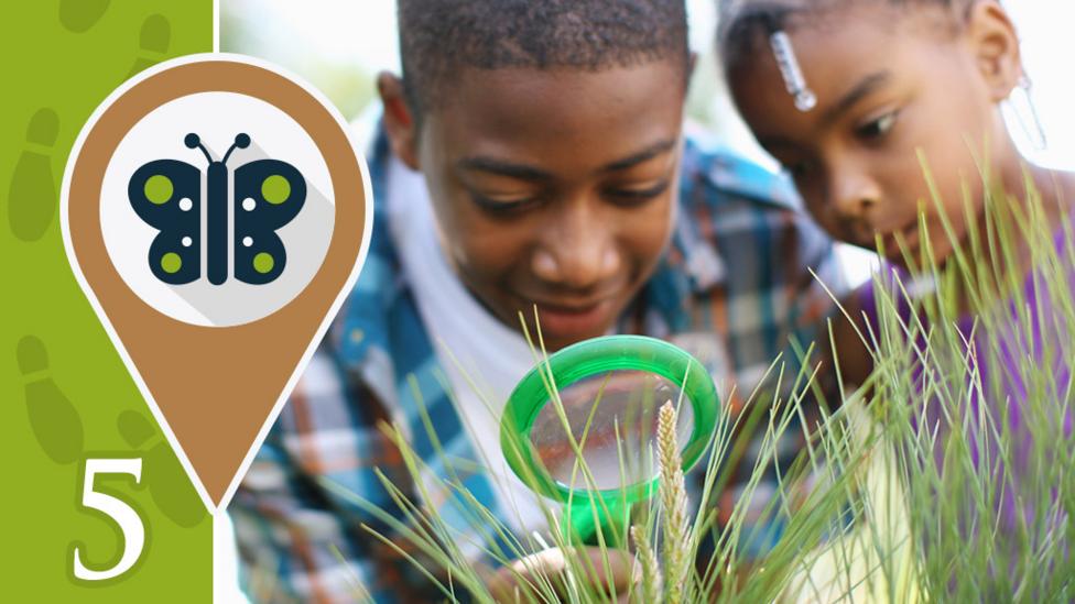 Two children looking closely in a bush using a magnifying