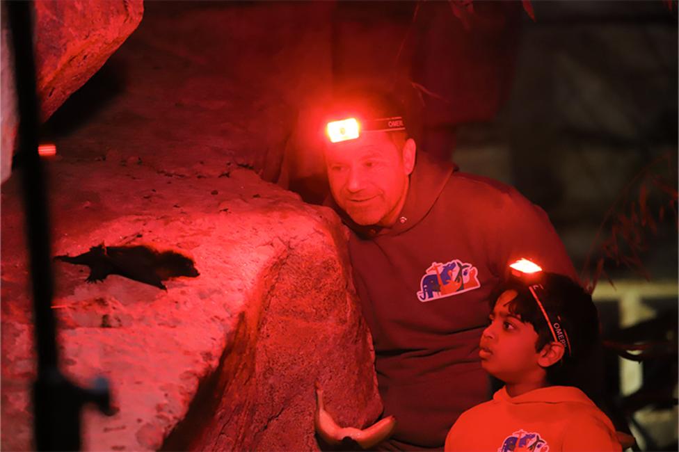 Steve and Aneeshwar are in a dark cave wearing headlamps looking at a bat retsing on a rock.