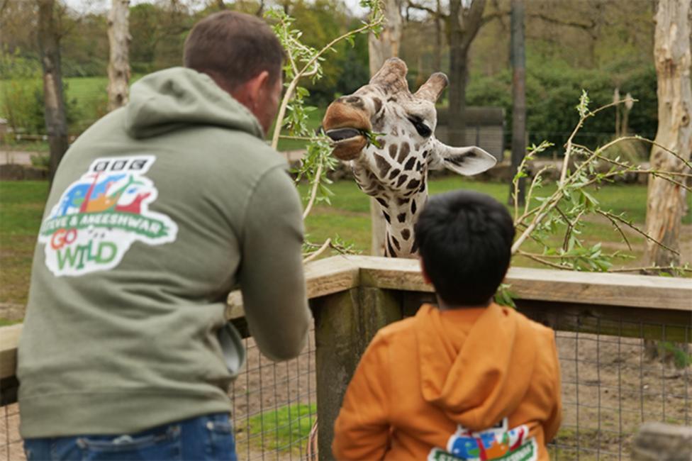 Image of a giraffe.