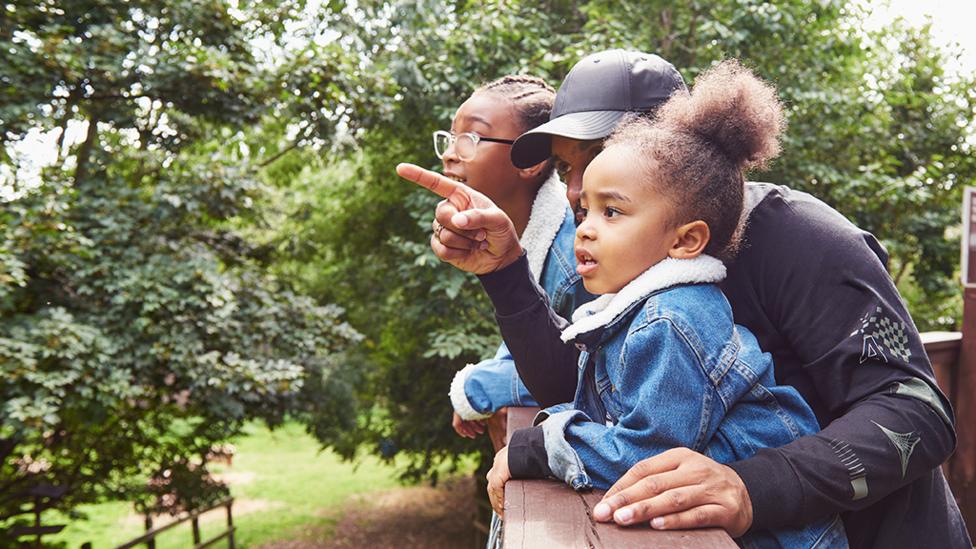 A father is pointing at something in nature whilst standing next to two children.