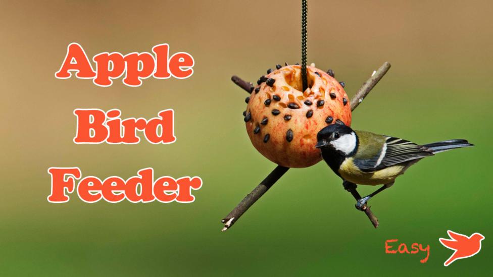 Bird feeders make, showing a blue tit perched on an apple bird feeder, with the text 'Apple Bird Feeder' and one bird stamp saying 'Easy'.