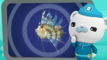 Octonauts Cbeebies c