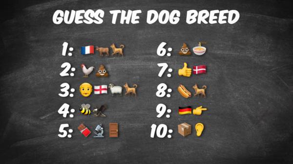 guess the emoji dog and red thing