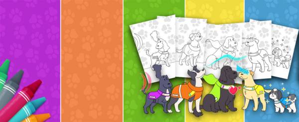 https://ichef.bbci.co.uk/childrens-responsive-ichef-live/r/400/1.5x/cbeebies/dog-squad-christmas-colouring-superpowers-secondary-promo.jpg