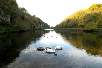 Blue Peter - Creswell Crags
