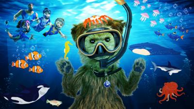 CBBC HQ - Design an underwater creature