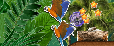 Gameplay of the "One Zoo Three: Rainforest Run" game