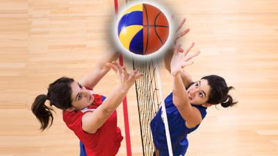 tv Sport - Are you more volleyball or basketball?