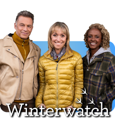 Chris, Michaela and Gillian; the presenters of Winterwatch.