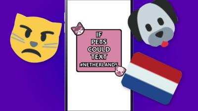 All Over the Place - If Pets Could Text: Netherlands Edition
