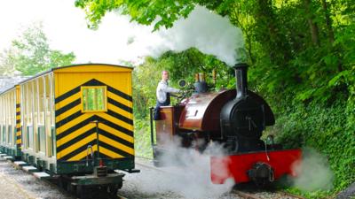 Steam train at Amberley Museum