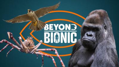 Beyond Bionic - Beyond Bionic: Mega Quiz 2