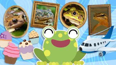 Blue Peter - What’s your amphibian personality? 