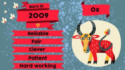 A ox and flags with text "Born in 2009. Reliable, Fair, Clever, Patient, Hard working"
