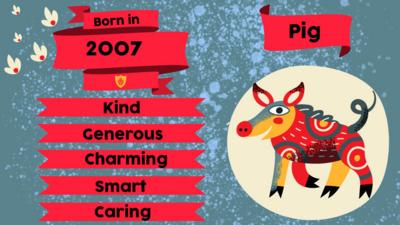 A pig and flags with text "Born in 2007. Kind, Generous, Charming, Smart, Caring" 